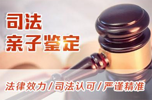 江西司法DNA亲子鉴定收费明细,